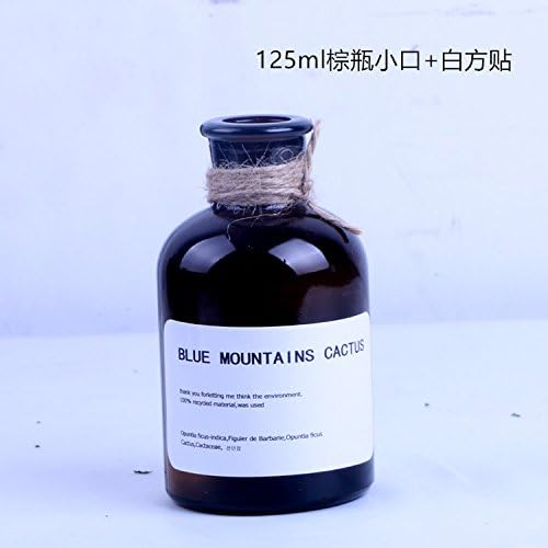 ZHFC Home Decor ZHFC-Brown glass bottle vase flower stickers Home Furnishing decoration decoration, 125ml brown bottle small mouth white side paste