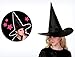 Clearance! 6 Pack Women Girls Halloween Witch Hat Cap Costume Accessory Home Decorations (A)