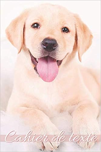 Cahier De Texte Chien Cahier De Texte 21 Chien Chiot Labrador Livre Pour Organiser La Nouvelle Annee Scolaire College Lycee Agenda Scolaire Cp Ce Cm Carnet Pratique Pour Le Cartable