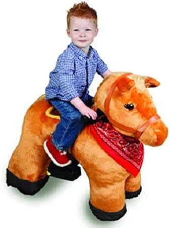 shih tzu hair trimmer