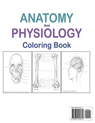 Anatomy And Physiology Coloring Book: Human Anatomy Coloring Book And ...