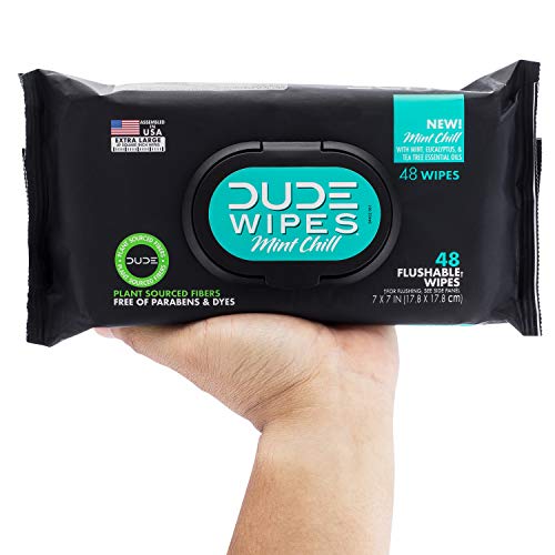 DUDE Wipes Flushable Wet Wipes Dispenser Mint Chill 48Count Scented