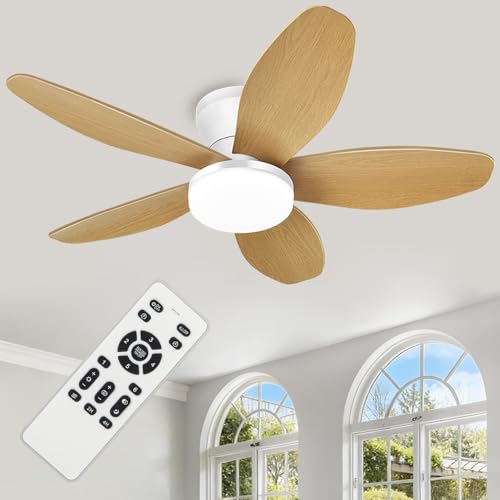 ZOEYON Small Ceiling Fan Light