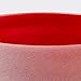 TOPFUND Red C Note Crystal Singing Bowl 8 inch Root Chakra with Suede Mallet