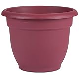 Bloem Ariana Self Watering Planter, 12", Union Red (AP1212)