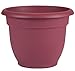 Bloem Living Ariana Self-Watering Planter, Indoor and Outdoor Plant Pot and Flowerpot, 10