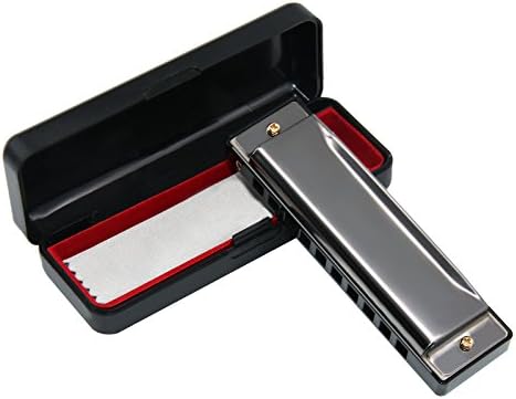 HSicily Diatonic Harmonica Standard 10 Holes Harmonica Key of C for Students Kids Beginners and Professional Players with a Black Case