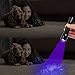 UV Flashlight, Fyland Blacklight 395 nm CREE LED Ultraviolet Pet Urine Detector, Outdoor Tactical Waterproof Rechargeable for Animal Urine Detection, Pet Stains and Bed Bug - Batteries and Charger