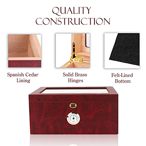 Mantello Cigars Large Glasstop Cigar Humidor Humidifier Box for Up to