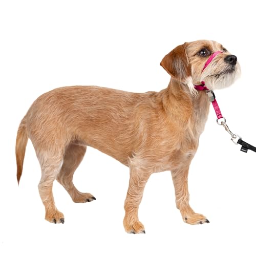 PetSafe Gentle Leader No-Pull Dog Headcollar - The Ultimate Solution to Pulling - Redirects Your Dogs Pulling for Easier Walks - Helps You Regain Control - Small, Raspberry Pink
