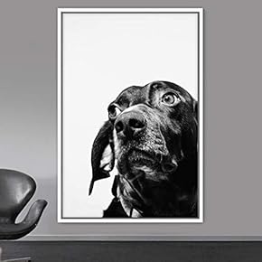 signwin Framed Canvas Wall Art High Contrast Portrait...