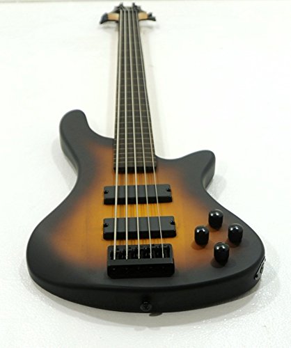 Fretless 5 String Electric Bass