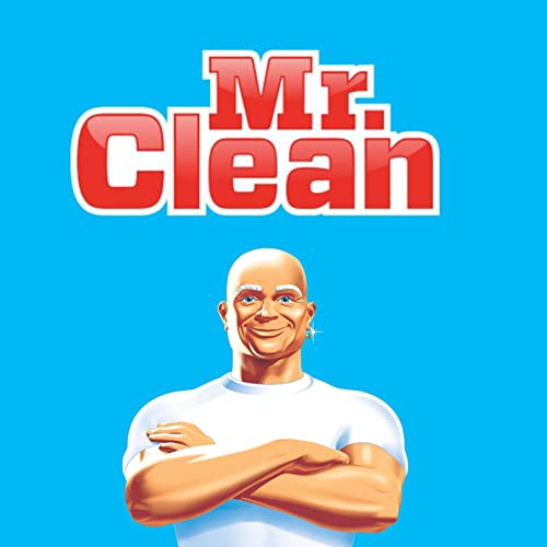 Number 1 In Service M.C. Mr Clean MultiPurpose Summer Citrus Liquid