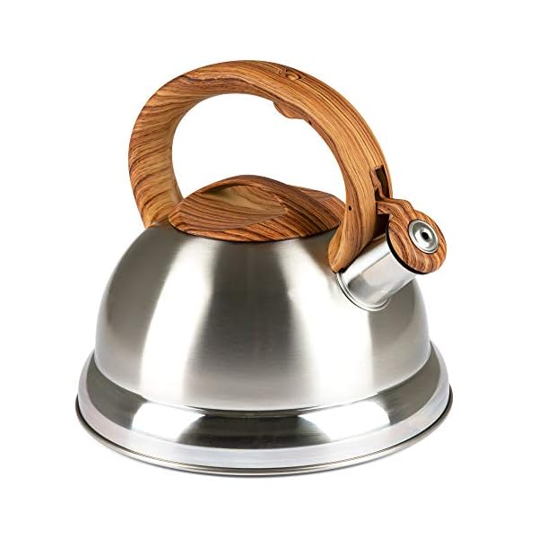 Whistling Tea Kettle with 5 Layer Bottom, 2.4 Quarts, Brushed Stainless