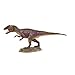 Dr. Steve Hunters Dinosaurs Collection Carcharodontosaurus