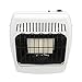Dyna-Glo IR12PMDG-1 12,000 BTU Liquid Propane Infrared Vent Free Wall Heater