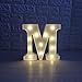 Pooqla LED Marquee Letter Lights Alphabet Light Up Sign for Table Wedding Home Party Bar Decoration M