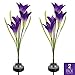 Sorbus LED Flower Light Lily Stakes, 2 Pack Solar Multi-Color Changing 8 LED Outdoor Garden Flowers,Lawn, Garden, Patio, Night Lighting, Path Walkway, Gravestone, Wedding (2 Purple Color Changing)