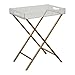 Ashley Furniture Signature Design - Ervinville Tray Accent Table - Contemporary - Clear Acrylic Top - Gold Metal Base