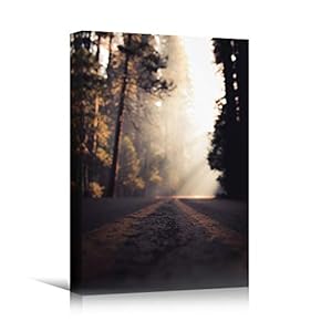 signwin Canvas Wall Art Autumn Dramatic Forest Landscape...