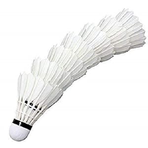 Model One Grade A Champion Badminton Shuttlecock – White – Pack 10 Pieces