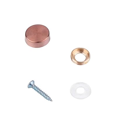 8 Pcs Stainless Steel Cap Cover Decorative Mirror Screws Bs