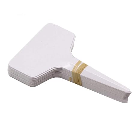 ShAwng 50 UNIDS 6 * 10 cm Plástico Tipo de Planta T Etiquetas ...