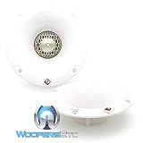 Rockford Fosgate PM2T-S