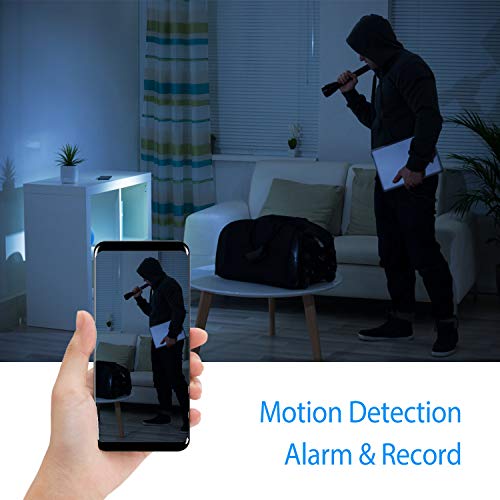GooSpy Hidden Camera Bluetooth Music Speaker Wireless Spy Camera