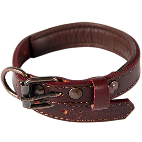 Logical Leather Padded Dog Collar - Best Full Grain Heavy Duty Genuine Leather Collar - Brown - Small