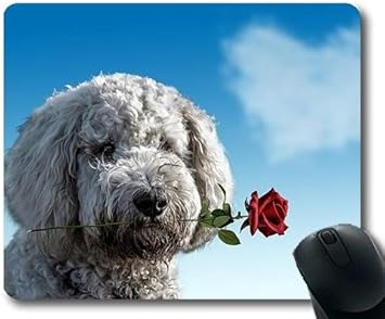 Amazon Com Custom Mouse Pad Golden Retriever Puppy Dog