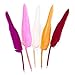 DADITU Feather Pen Multiple Feather Colors Fashion ballpoint Pen Original Feather Goose Stationery Pen Feather Quill Ballpoint Pen Purple Retro Feather Quill Ball Pen Mixed Color 10PCS 10 Colors