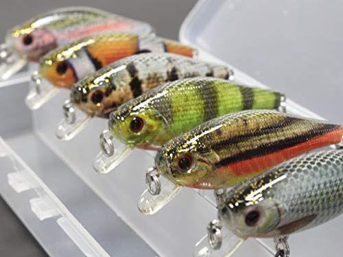 wLure Large Profile 2 1/2 inch Crankbait for Bass Fishing Bass Lure Fishing Lure with Free Tackle Box HC547KB