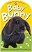 Baby Touch and Feel Baby Bunny by Roger Priddy