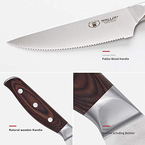 1 Senior+Steak+knife+Stainless+Ergonomics