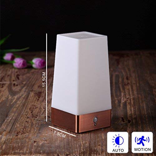 WRalwaysLX 3 Modes Battery Powered Small Table Lamp,Bedside Lamp