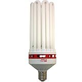 Apollo Horticulture 250 Watt CFL Compact Fluorescent Grow Light Bulb of 6400K for Plant Growing