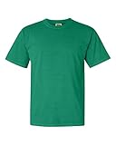 Comfort Colors 1717 Pigment-Dyed Short Sleeve Shirt (Grass, X-Large)