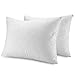 Waterguard Quilted Pillow Protector - Waterproof and Bed Bug Proof Standard Size Zippered Pillow Protector - Luxury Designed Pillowcases Protects Pillows from Dirt, Dust Mites, Stains, & Spills