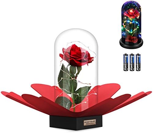 SWEET DIARY Beauty and the Beast Rose DIY Kit, Red Silk Rose with Fallen Petals and RGB+White Led light in a Glass Dome on Wooden Base for Home Decor Holiday Party Wedding Anniversary Birthday Crafts