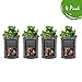 Grow Bags 10 Gallon 4 Pack l Garden Planting Smart Pots I Fabric Pots for Tomato and Planters I Natural Aeration for Growing Healthy Potato Vegetables and Plants l Heavy Duty for Nursery Gardening