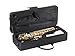 Eb Alto Saxophone Gold Lacquer Finish, Pad Saver, Neck Strap, Hard Case (609436)