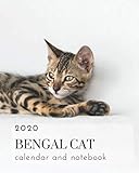 2020 Bengal Cats calendar and notebook: Dual layout - months and College Ruled Line Paper by Gail Notebooks