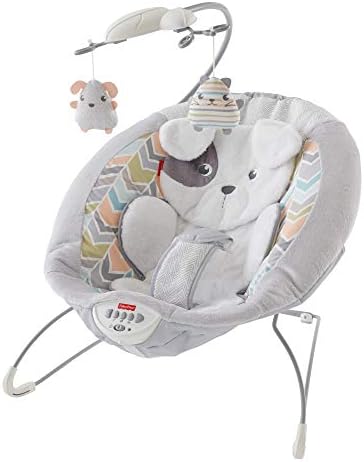 Little Snugapuppy Deluxe Bouncer 