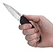 Kershaw Dividend Assisted Opening Knife Black GFN (3