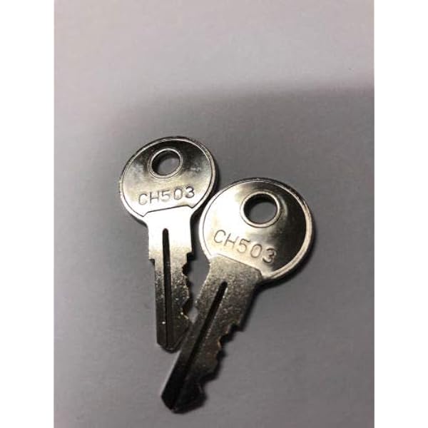 2Replacement Keys Husky Tool Boxes A00 A19 SafeCo Brands (A00 Husky