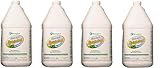 Benefect Botanical Broad Spectrum Disinfectant (4-(Pack))