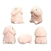 5PC Soft Mochi Dingding Penis Squishy Focus Squeeze Cute Healing Toy Kawaii Collection Abreact Fun Joke Gift