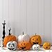 Elcoho Pumpkin Decorating Craft Kits Halloween Pumpkin Stickers Makes 9 Pumpkins