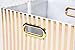 BAIST Fabric Storage Cubes Organizer 11 inch Storage Cube Bins Large Collapsible Storage Bins for Cloth, Closet, Shelves, Toys, Dog Food, Kids, Bathroom, Kitchen (4-Pack, Gold Stripe)